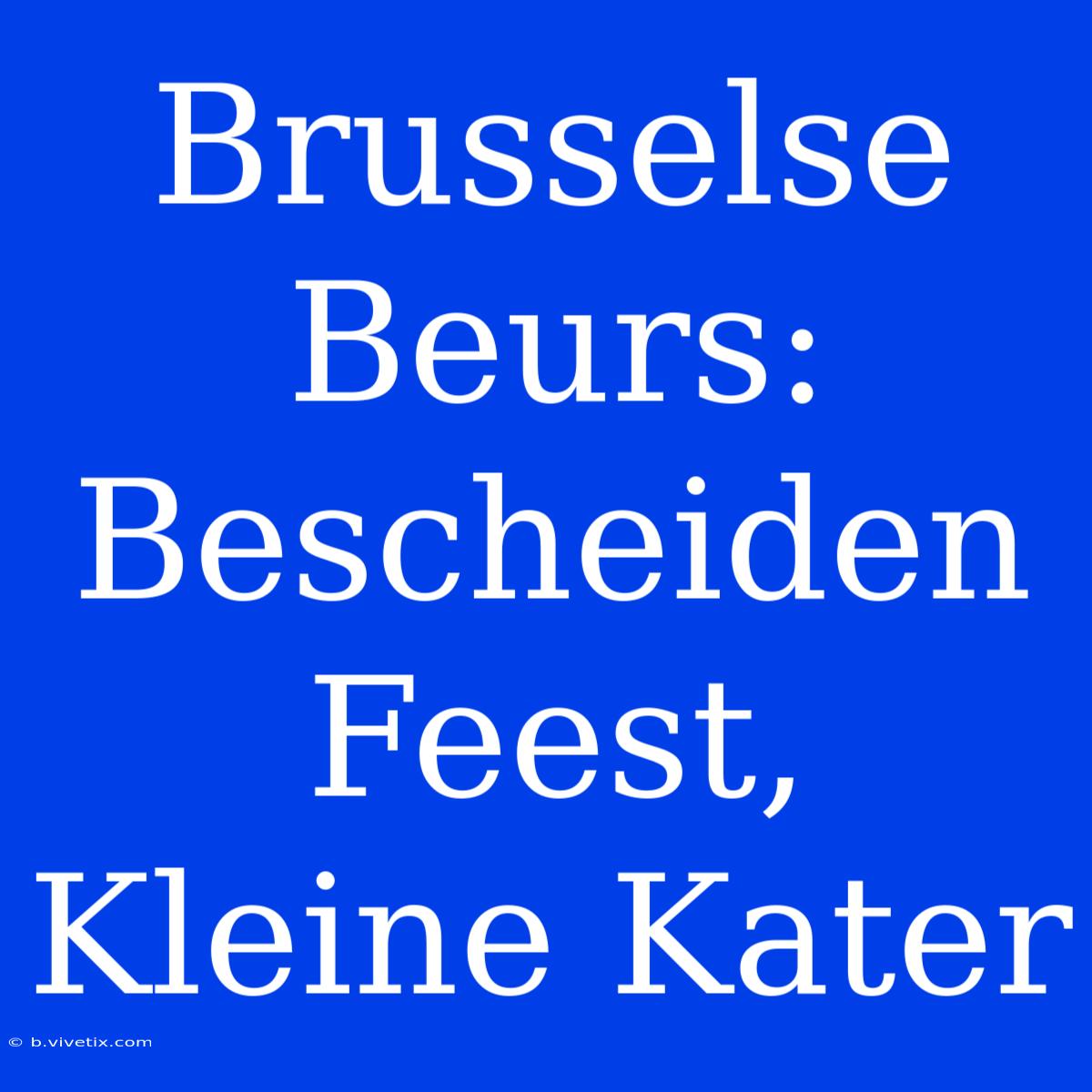 Brusselse Beurs: Bescheiden Feest, Kleine Kater