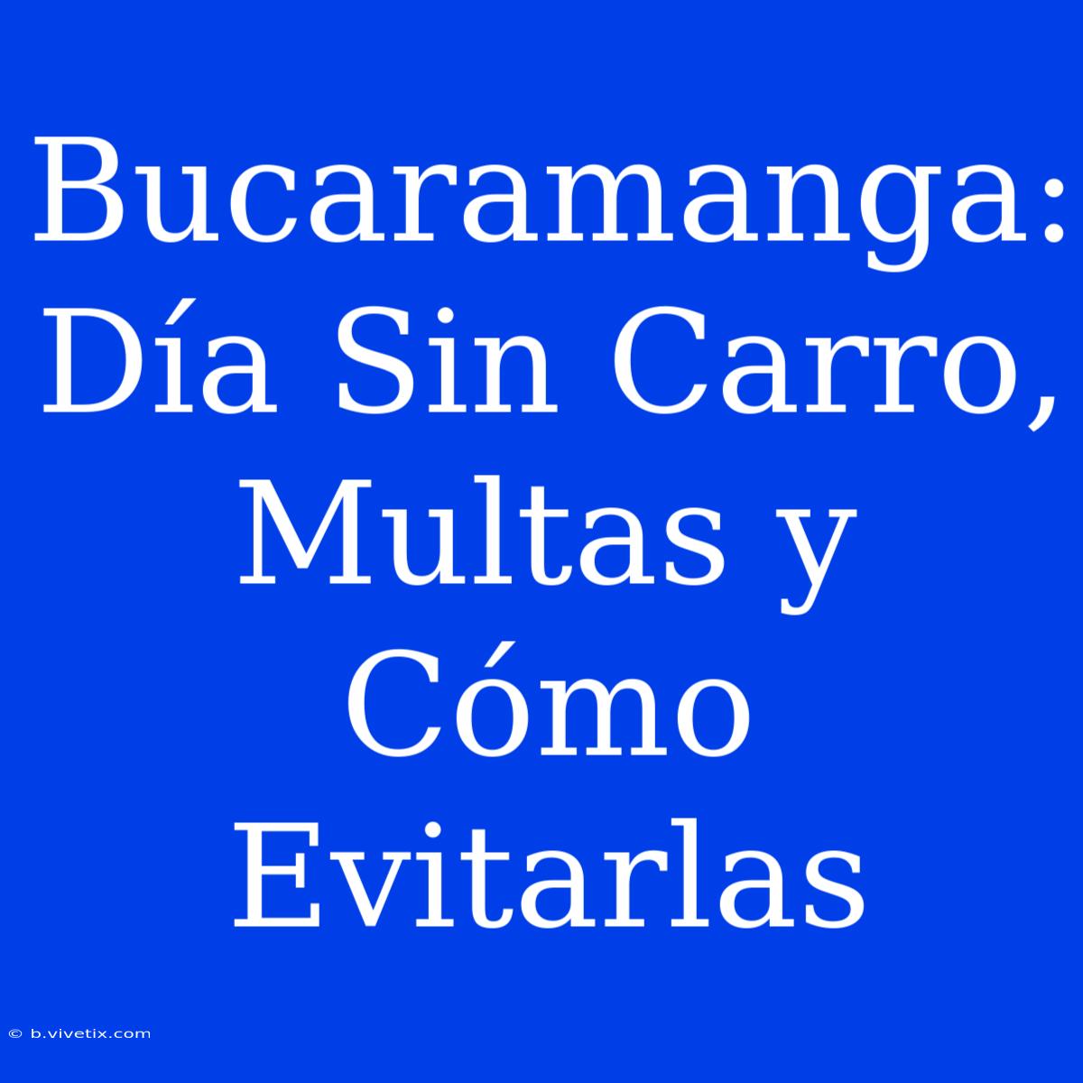 Bucaramanga: Día Sin Carro, Multas Y Cómo Evitarlas