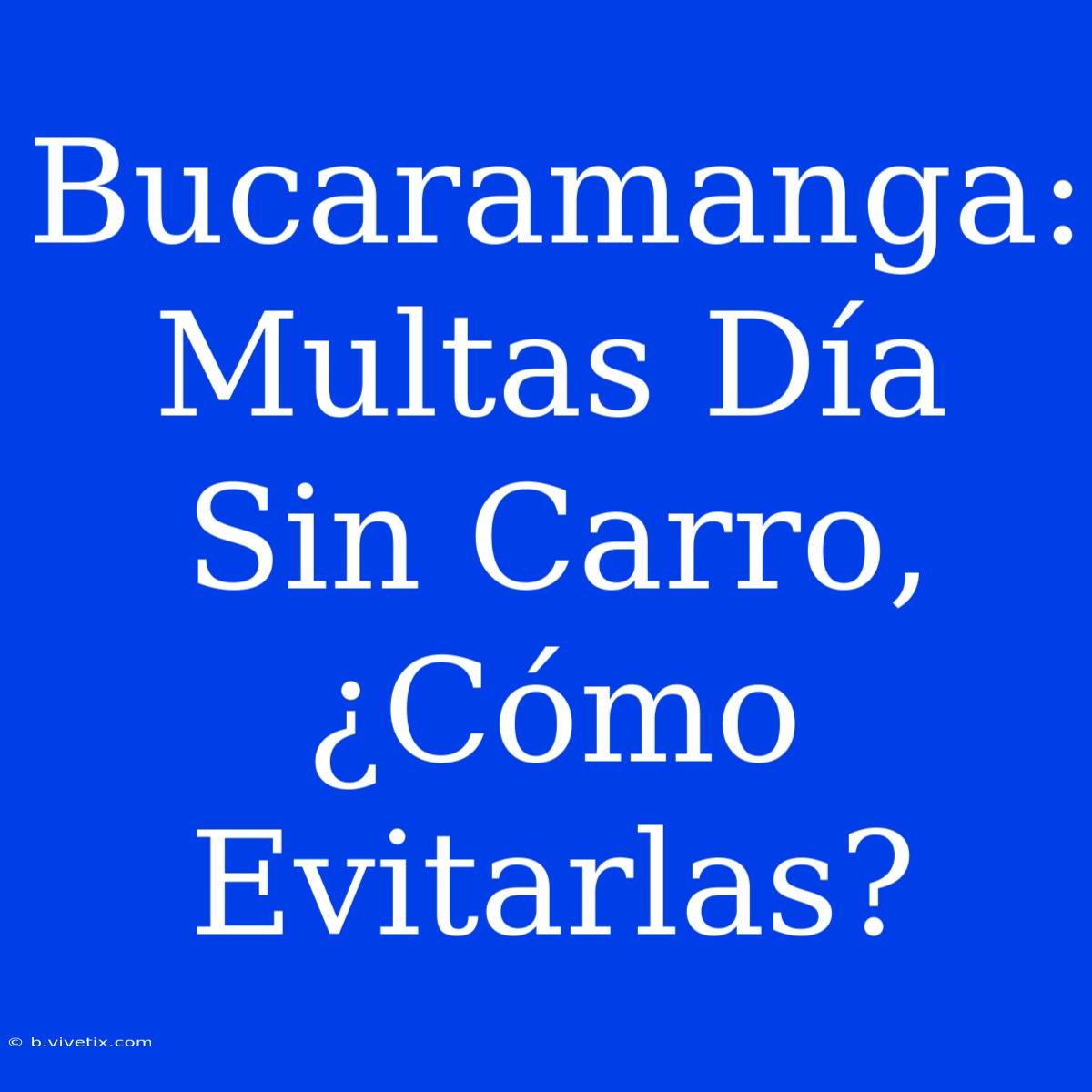 Bucaramanga: Multas Día Sin Carro, ¿Cómo Evitarlas?