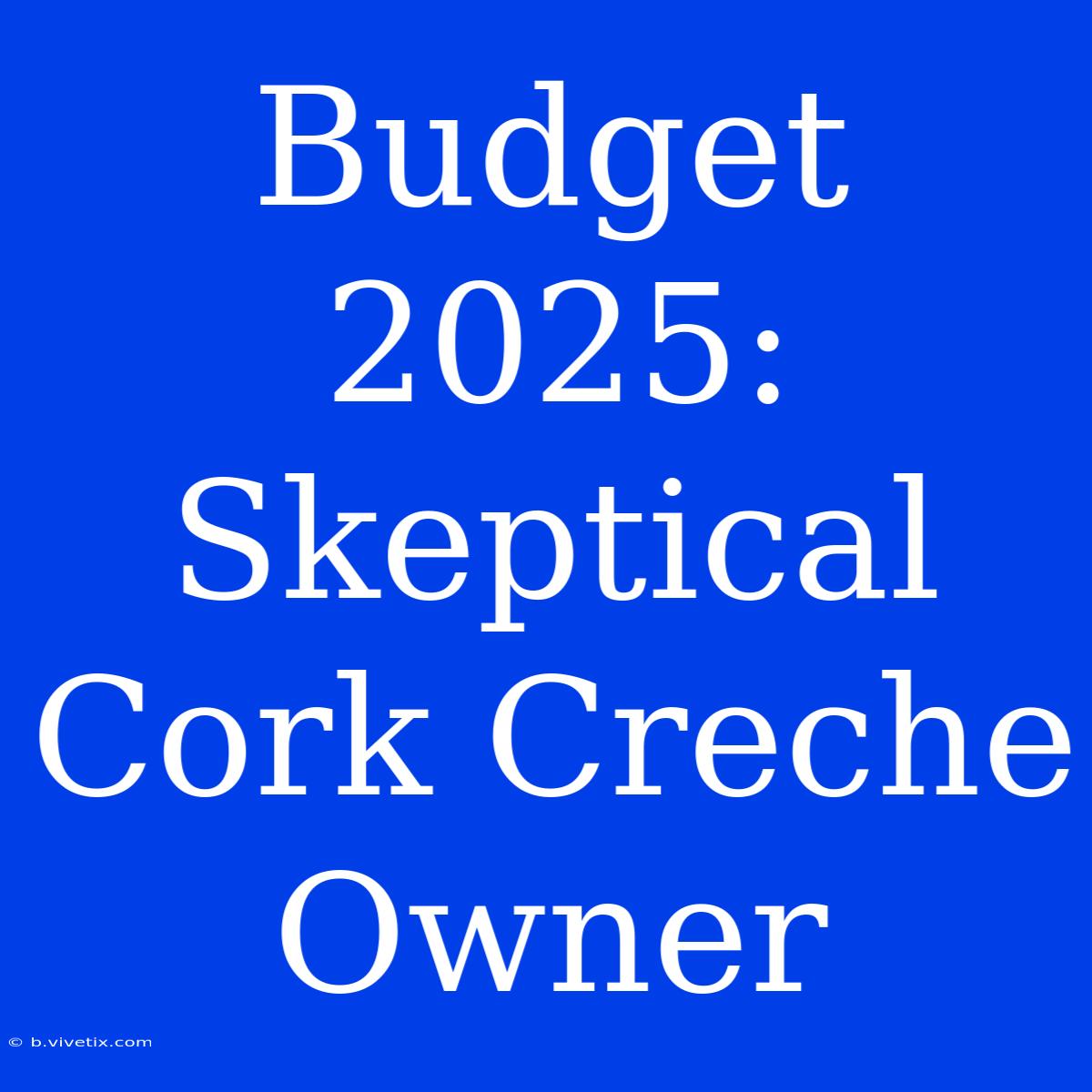 Budget 2025: Skeptical Cork Creche Owner