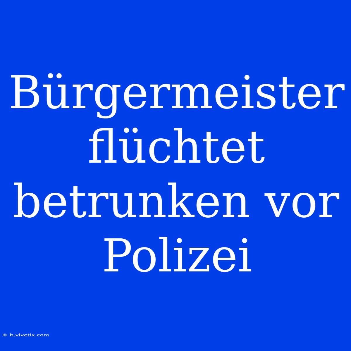 Bürgermeister Flüchtet Betrunken Vor Polizei