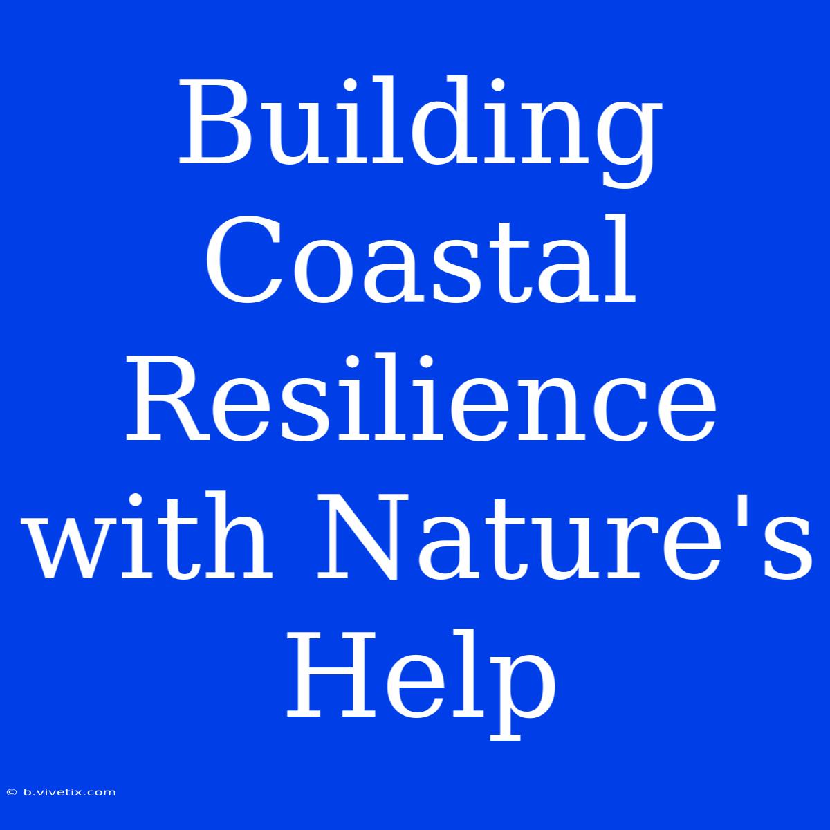 Building Coastal Resilience With Nature's Help 