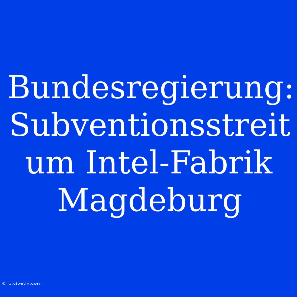 Bundesregierung: Subventionsstreit Um Intel-Fabrik Magdeburg