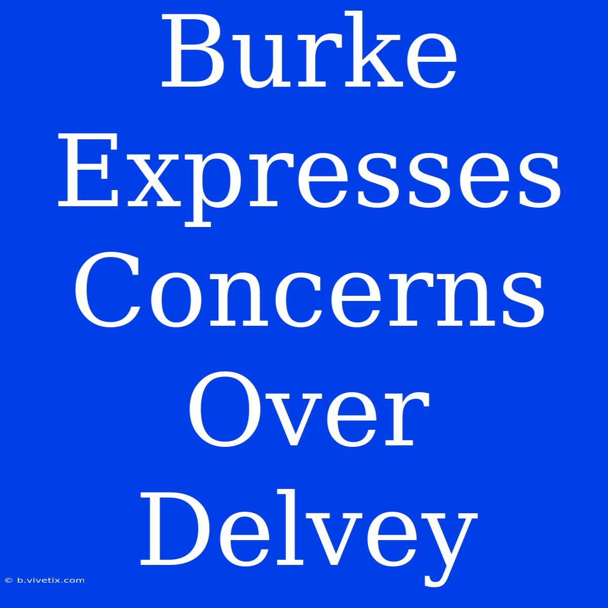 Burke Expresses Concerns Over Delvey