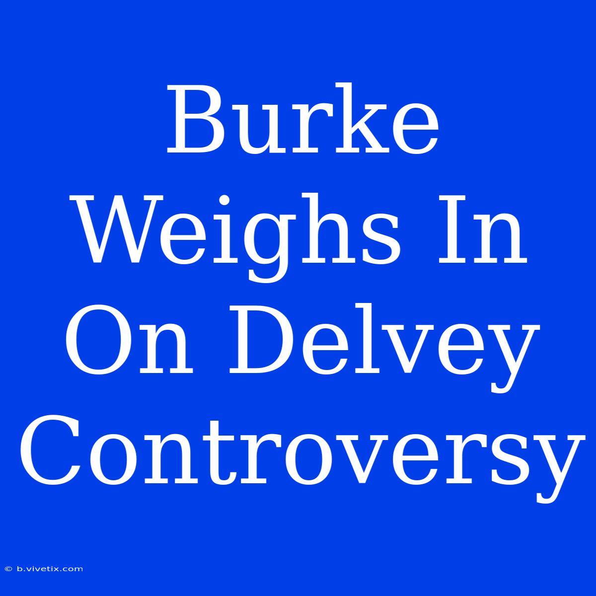 Burke Weighs In On Delvey Controversy