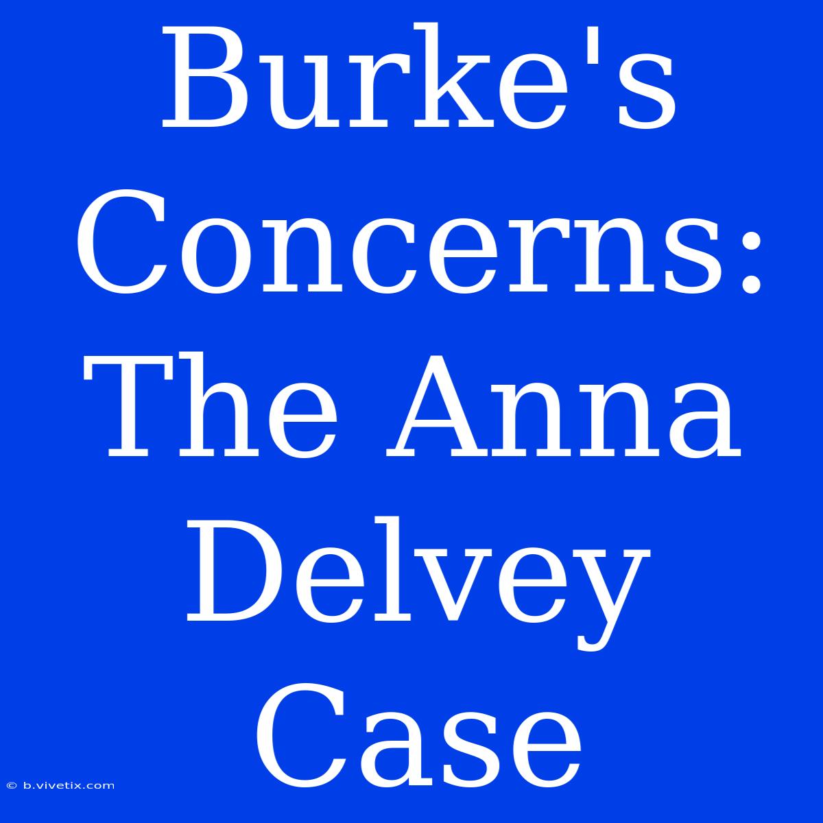 Burke's Concerns: The Anna Delvey Case