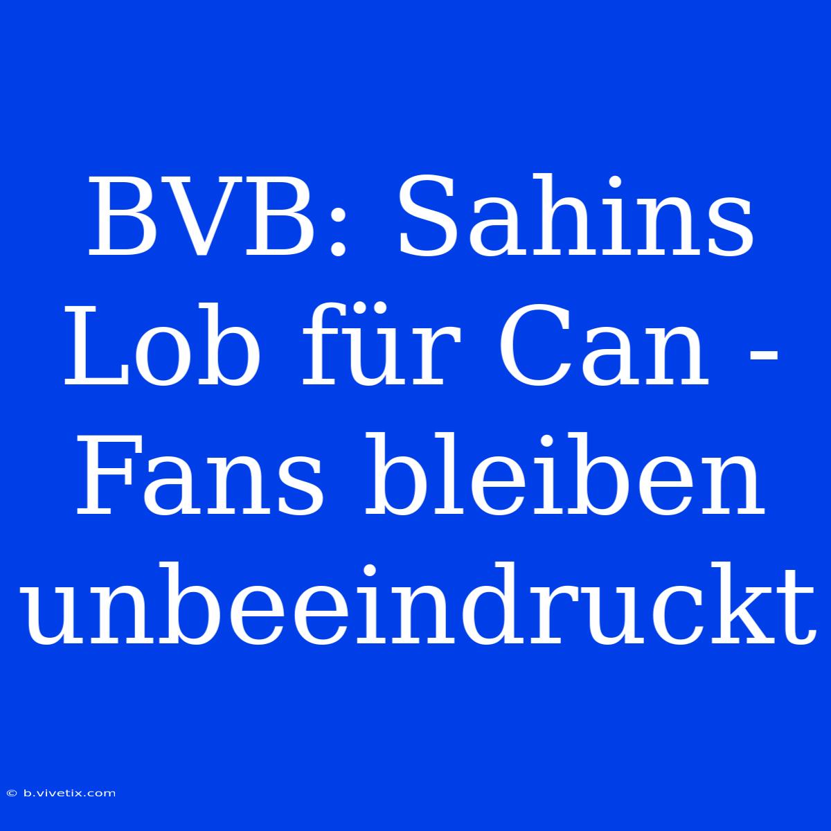 BVB: Sahins Lob Für Can - Fans Bleiben Unbeeindruckt