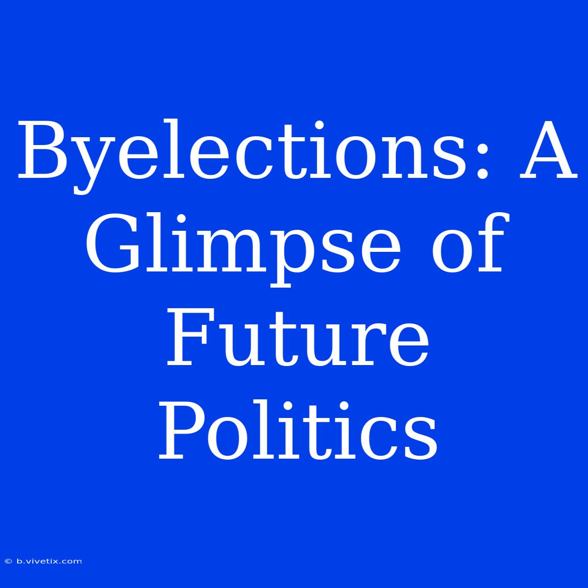 Byelections: A Glimpse Of Future Politics