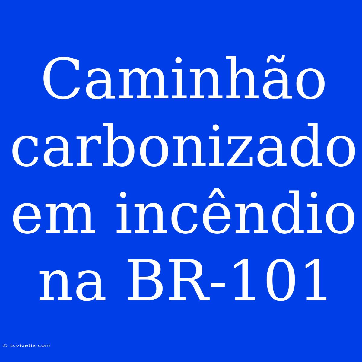 Caminhão Carbonizado Em Incêndio Na BR-101