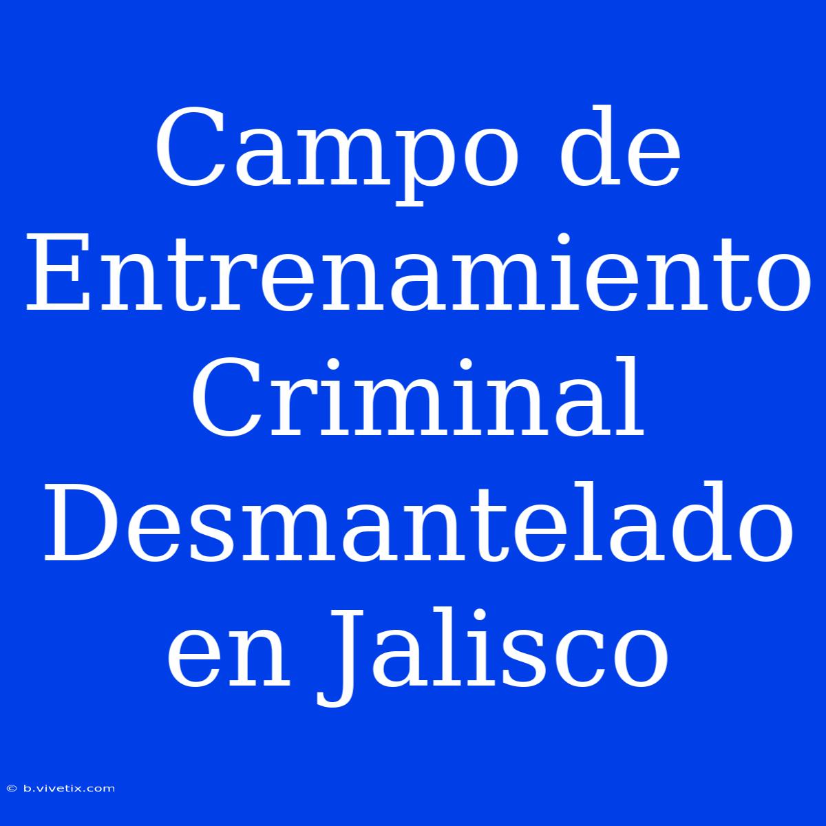 Campo De Entrenamiento Criminal Desmantelado En Jalisco