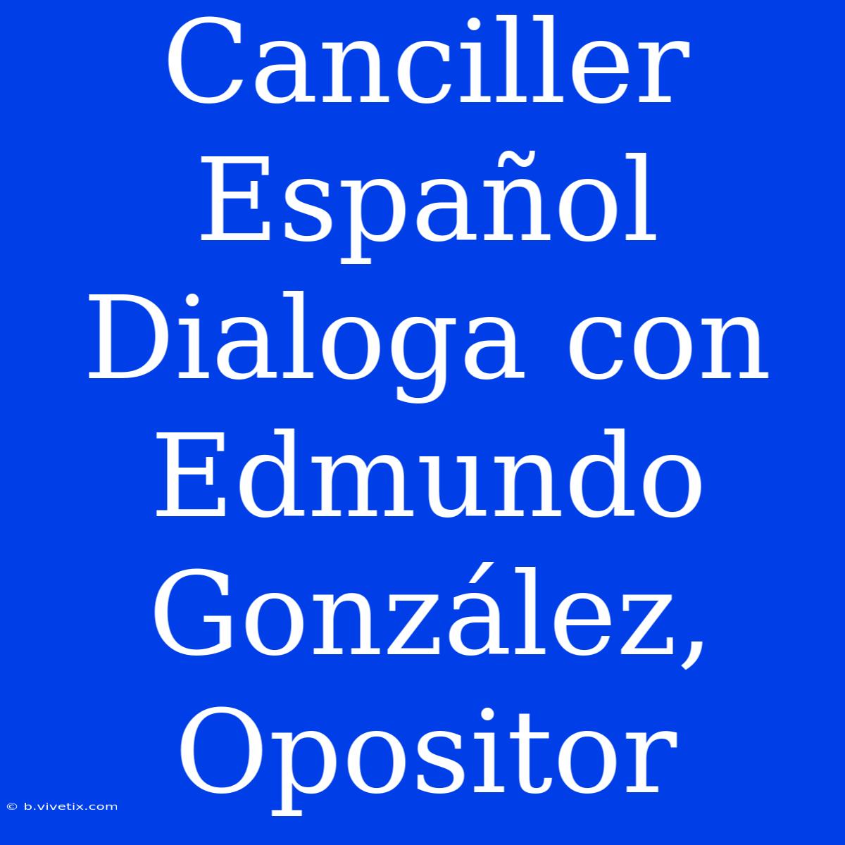 Canciller Español Dialoga Con Edmundo González, Opositor