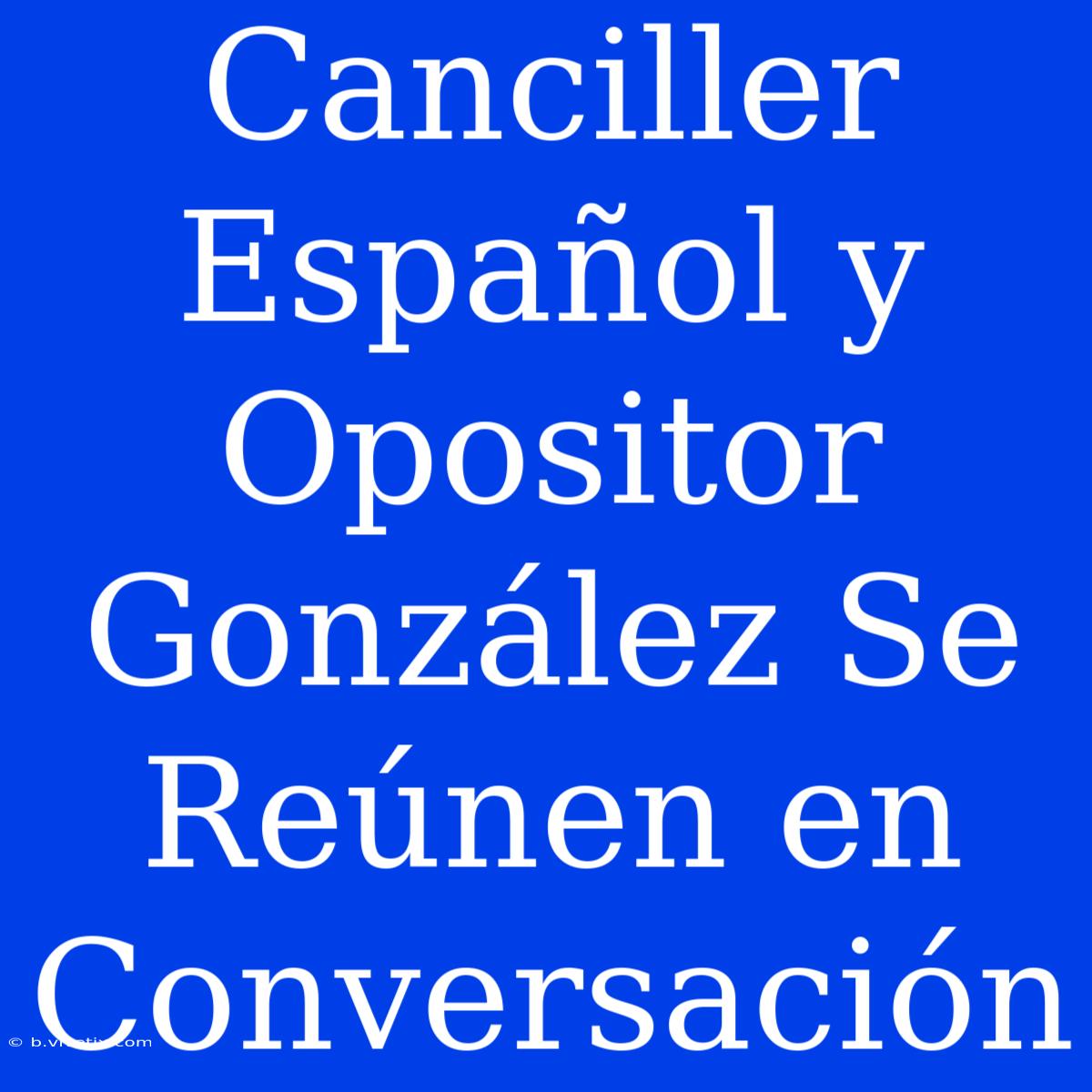 Canciller Español Y Opositor González Se Reúnen En Conversación