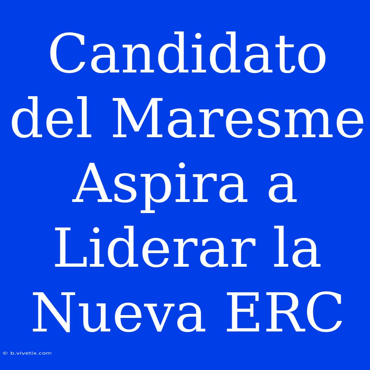 Candidato Del Maresme Aspira A Liderar La Nueva ERC