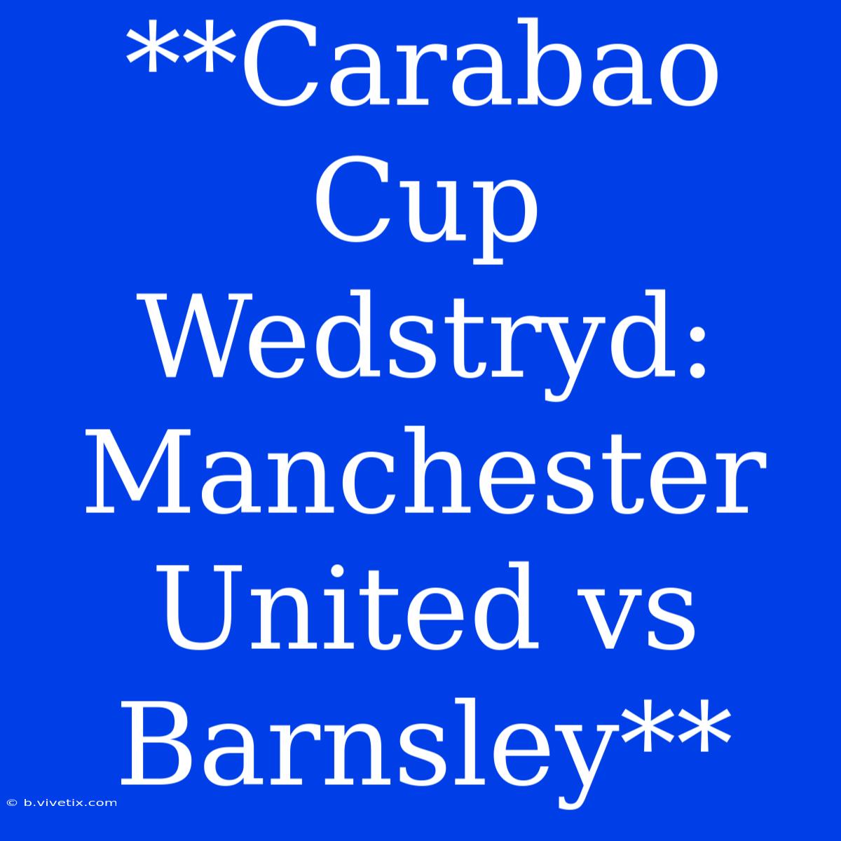 **Carabao Cup Wedstryd: Manchester United Vs Barnsley**