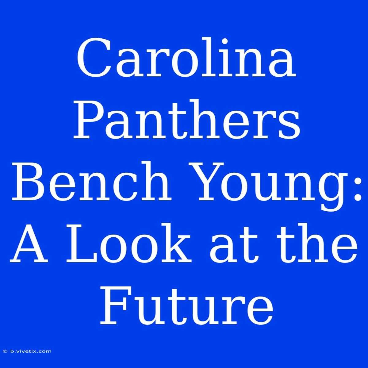 Carolina Panthers Bench Young: A Look At The Future