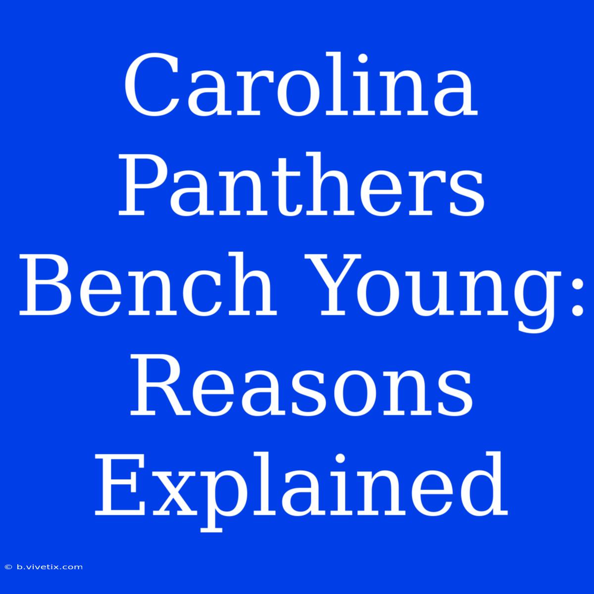 Carolina Panthers Bench Young: Reasons Explained