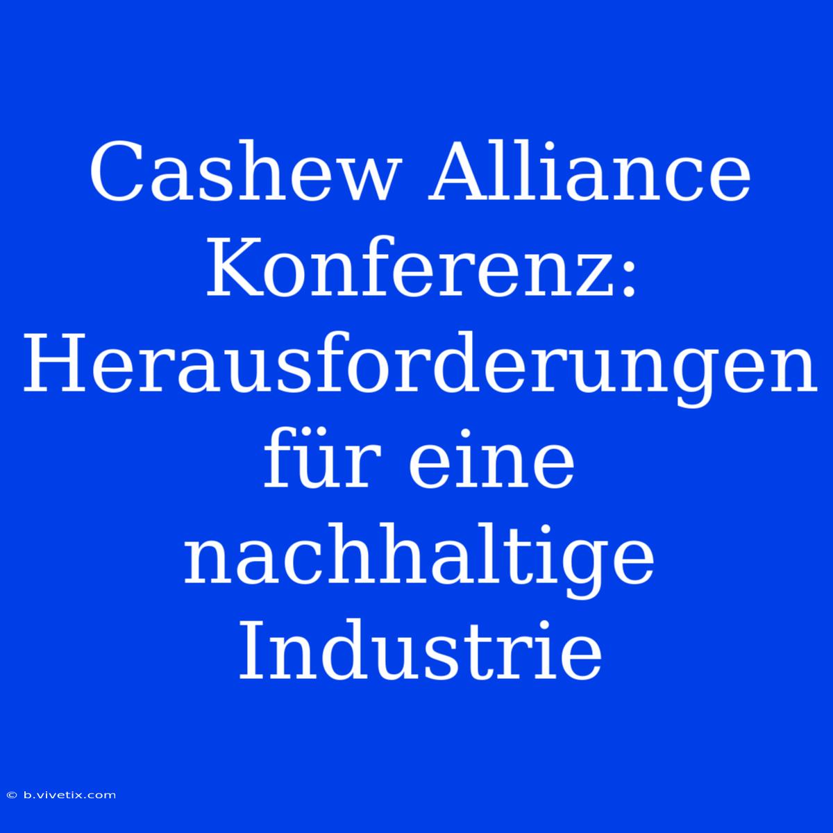 Cashew Alliance Konferenz: Herausforderungen Für Eine Nachhaltige Industrie