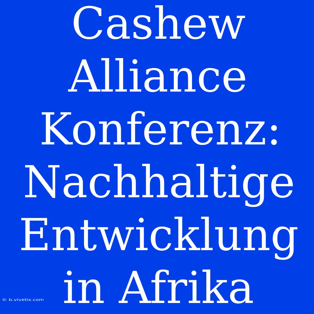 Cashew Alliance Konferenz: Nachhaltige Entwicklung In Afrika