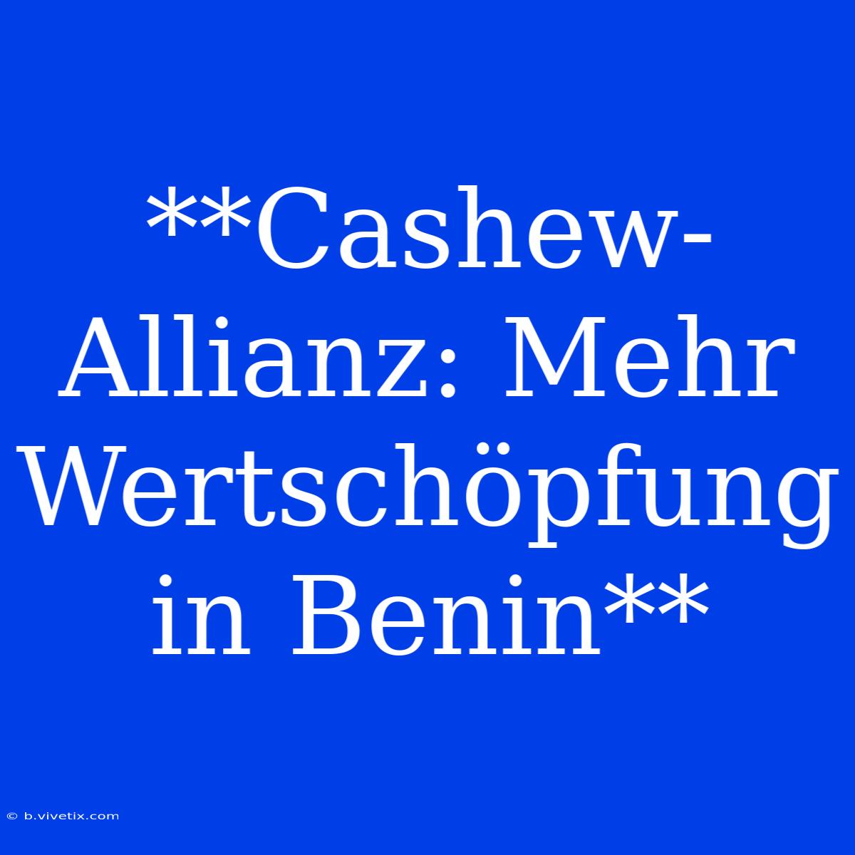 **Cashew-Allianz: Mehr Wertschöpfung In Benin**