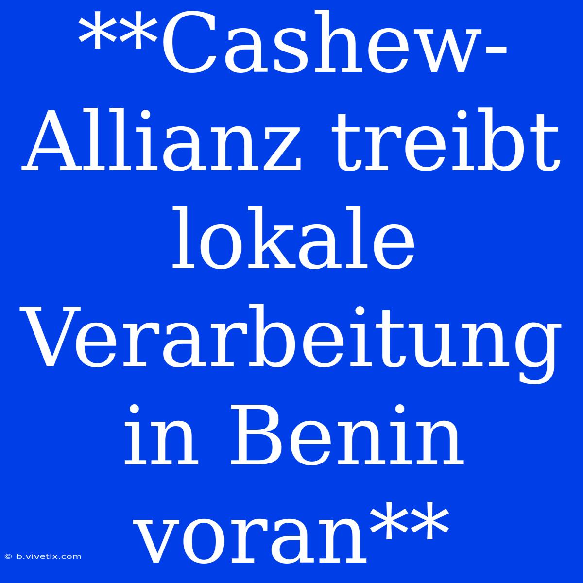 **Cashew-Allianz Treibt Lokale Verarbeitung In Benin Voran**