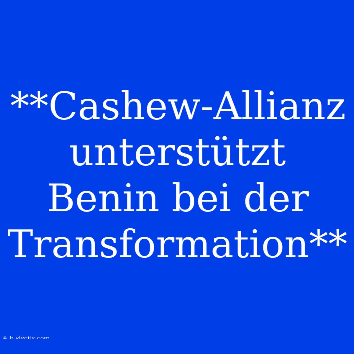 **Cashew-Allianz Unterstützt Benin Bei Der Transformation** 