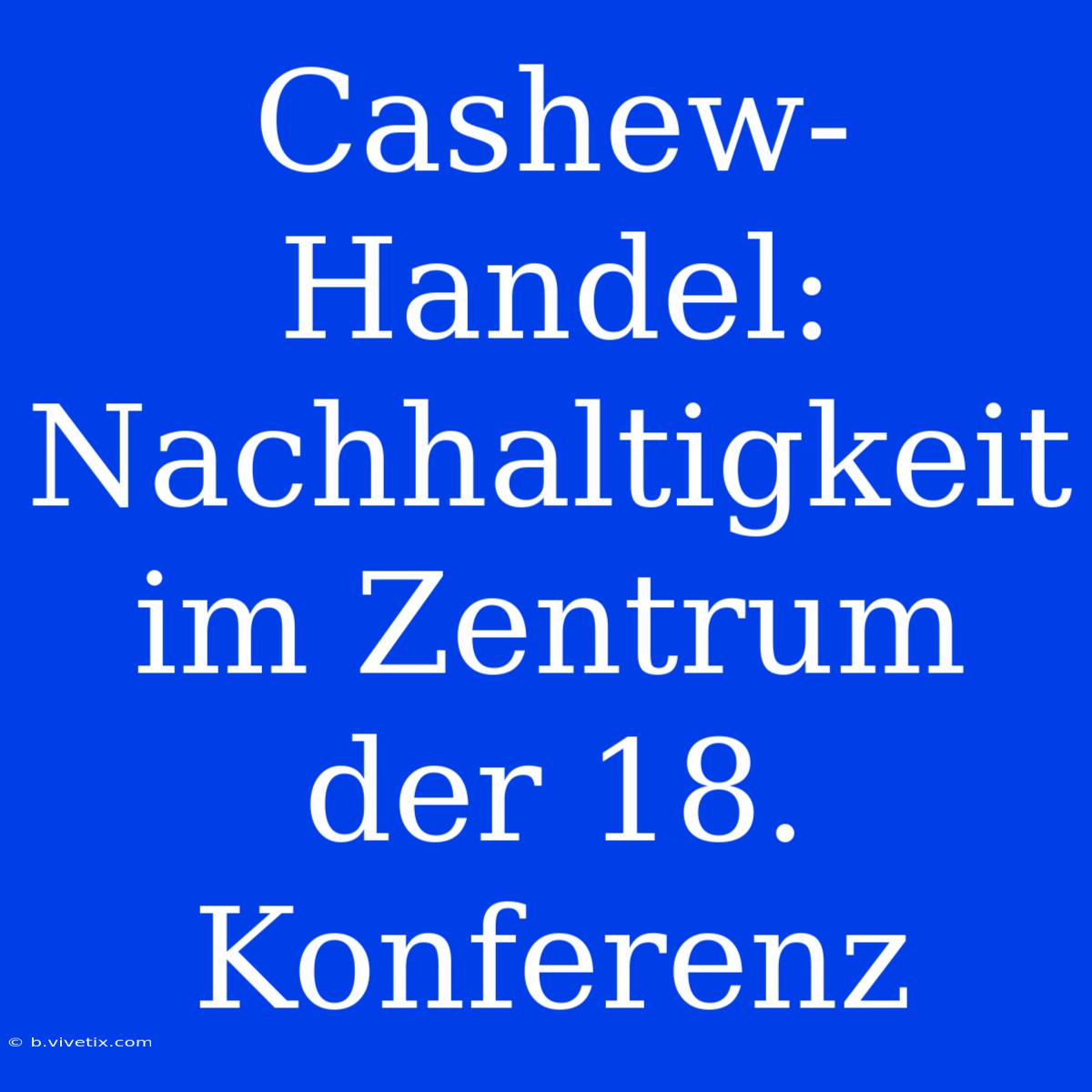 Cashew-Handel: Nachhaltigkeit Im Zentrum Der 18. Konferenz