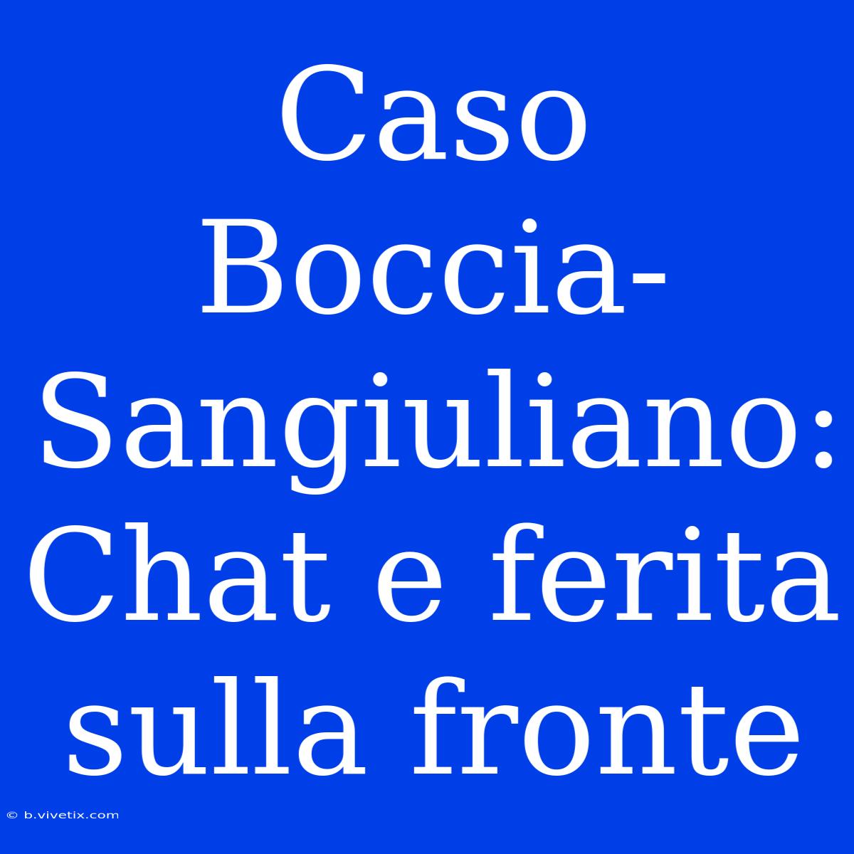 Caso Boccia-Sangiuliano: Chat E Ferita Sulla Fronte