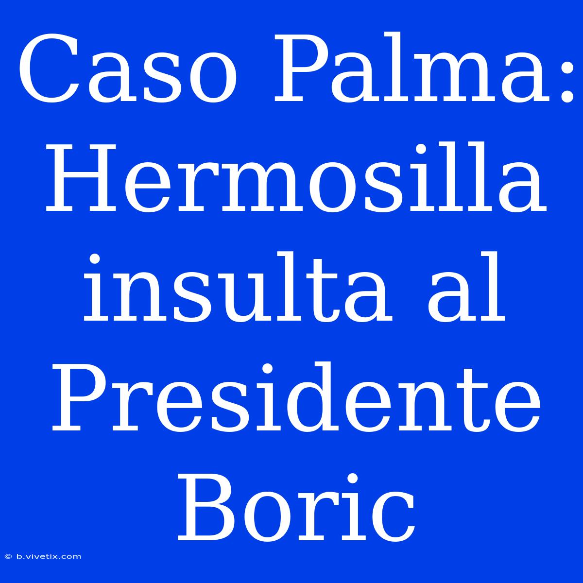 Caso Palma: Hermosilla Insulta Al Presidente Boric