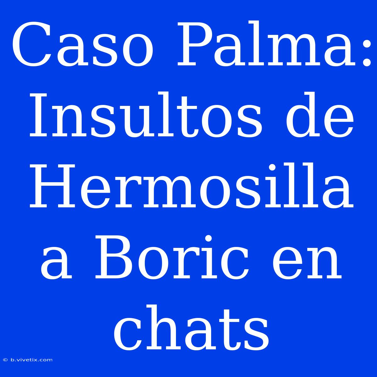 Caso Palma: Insultos De Hermosilla A Boric En Chats