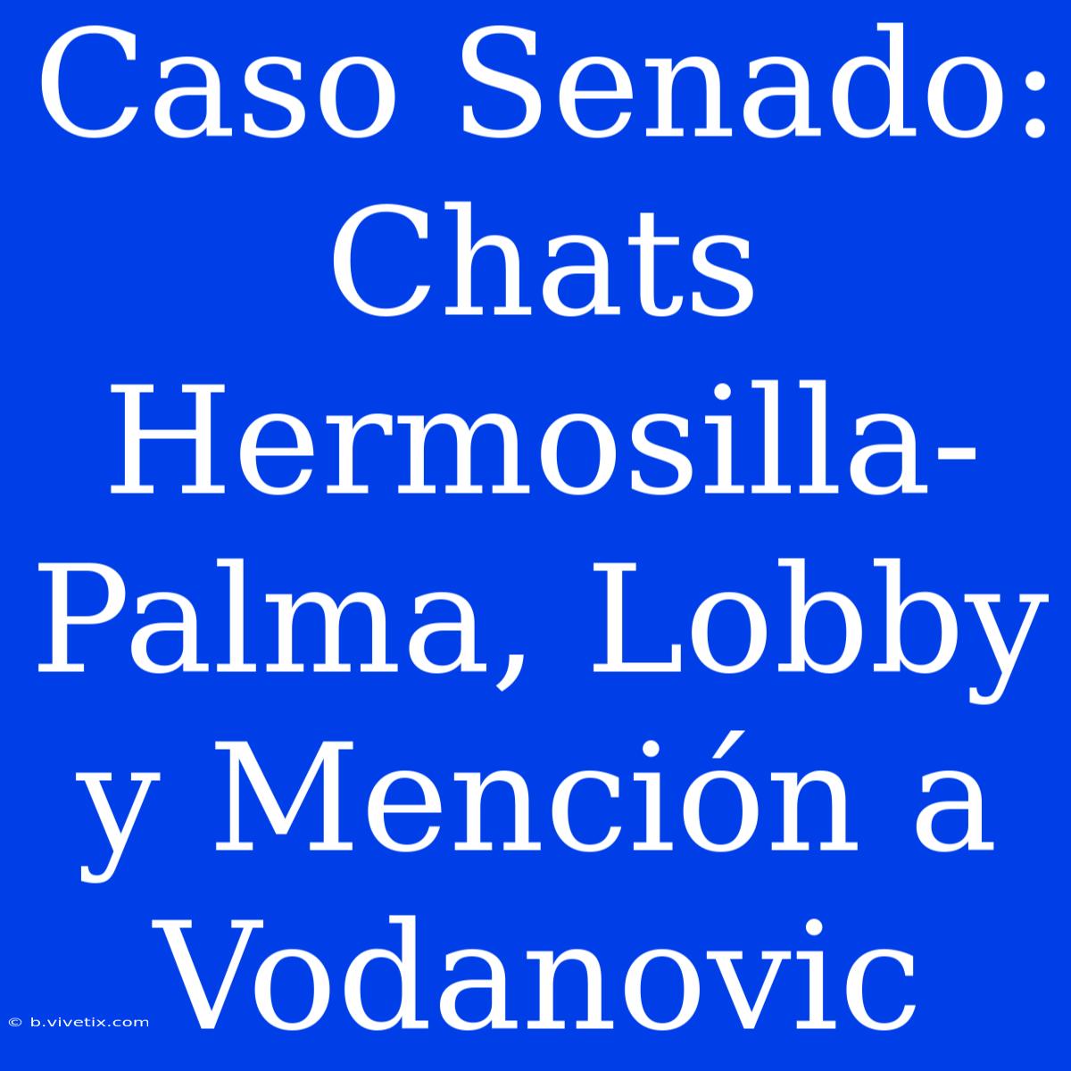 Caso Senado: Chats Hermosilla-Palma, Lobby Y Mención A Vodanovic 