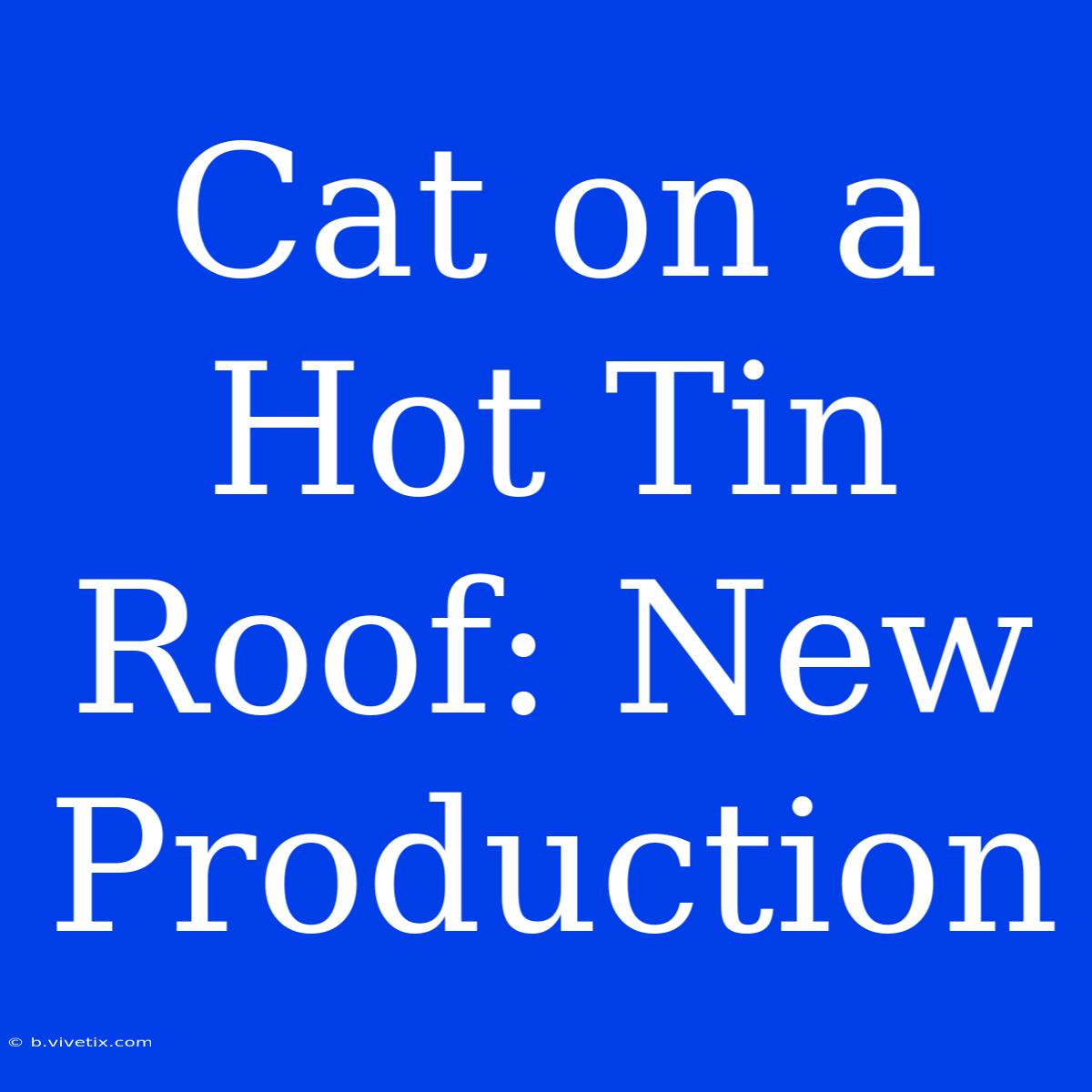 Cat On A Hot Tin Roof: New Production