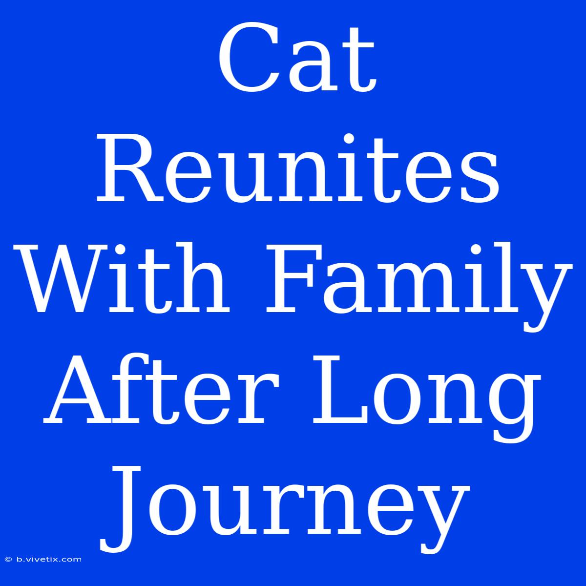 Cat Reunites With Family After Long Journey