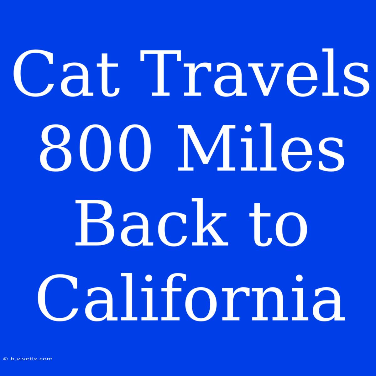 Cat Travels 800 Miles Back To California 