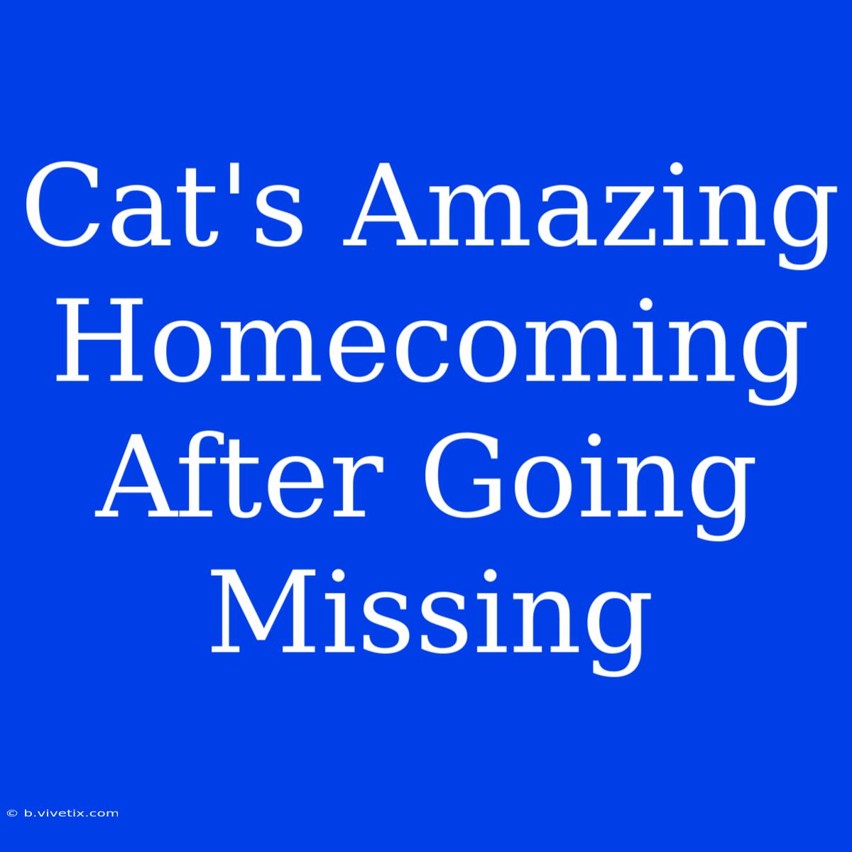 Cat's Amazing Homecoming After Going Missing