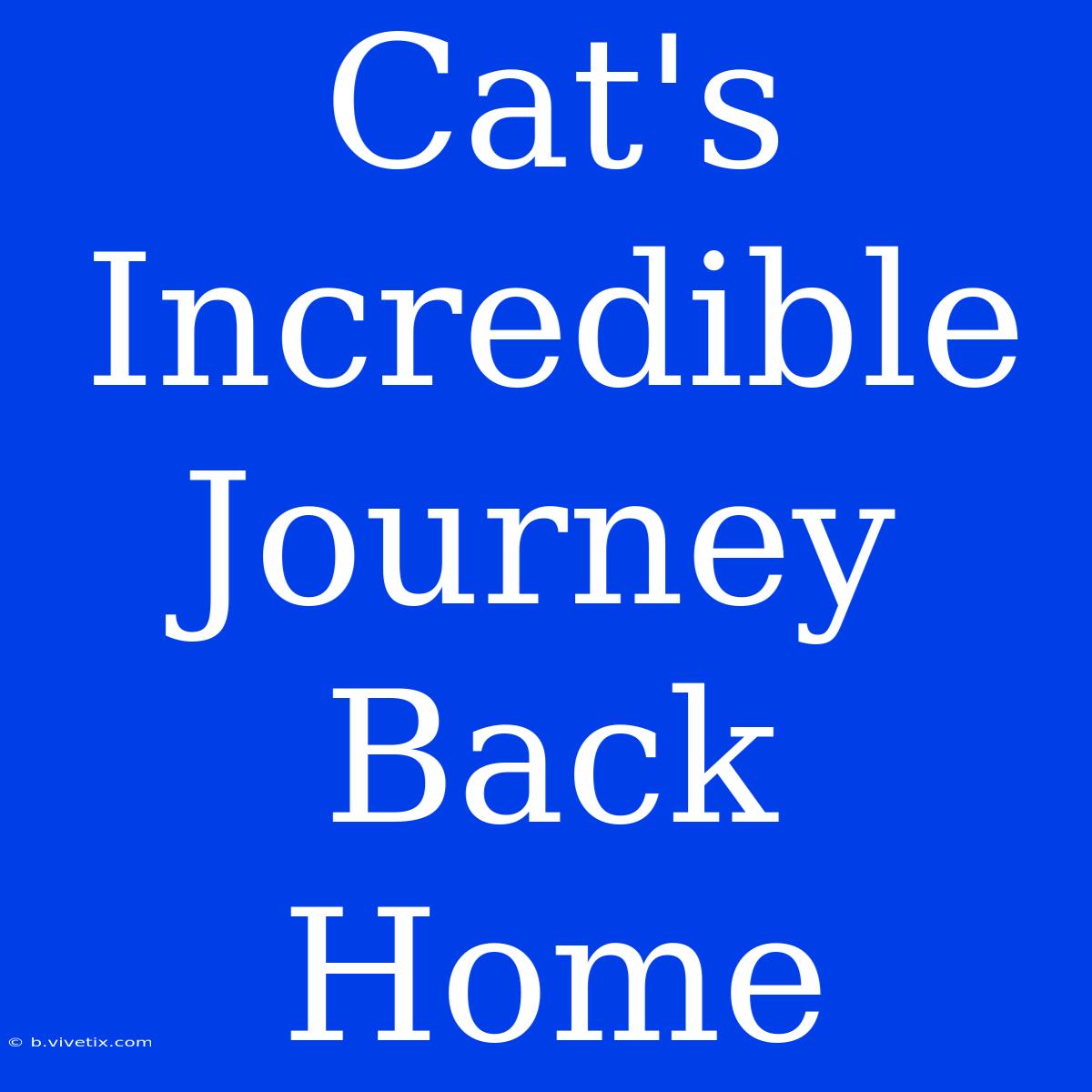 Cat's Incredible Journey Back Home