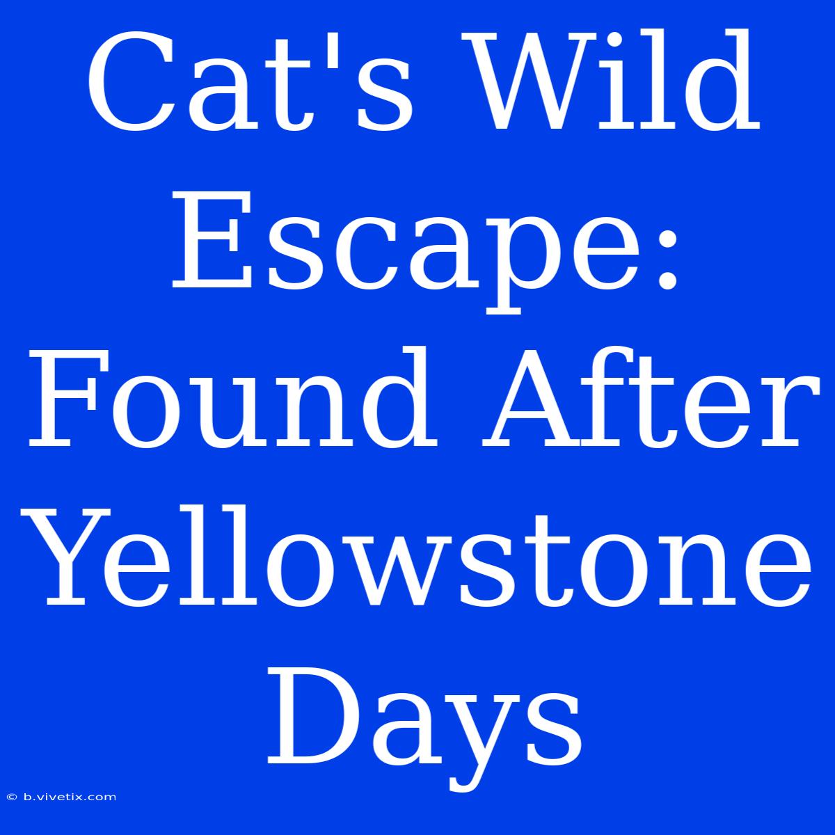 Cat's Wild Escape: Found After Yellowstone Days