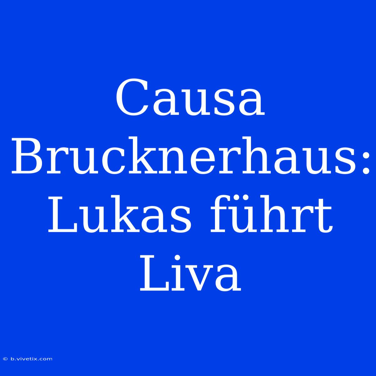 Causa Brucknerhaus: Lukas Führt Liva 