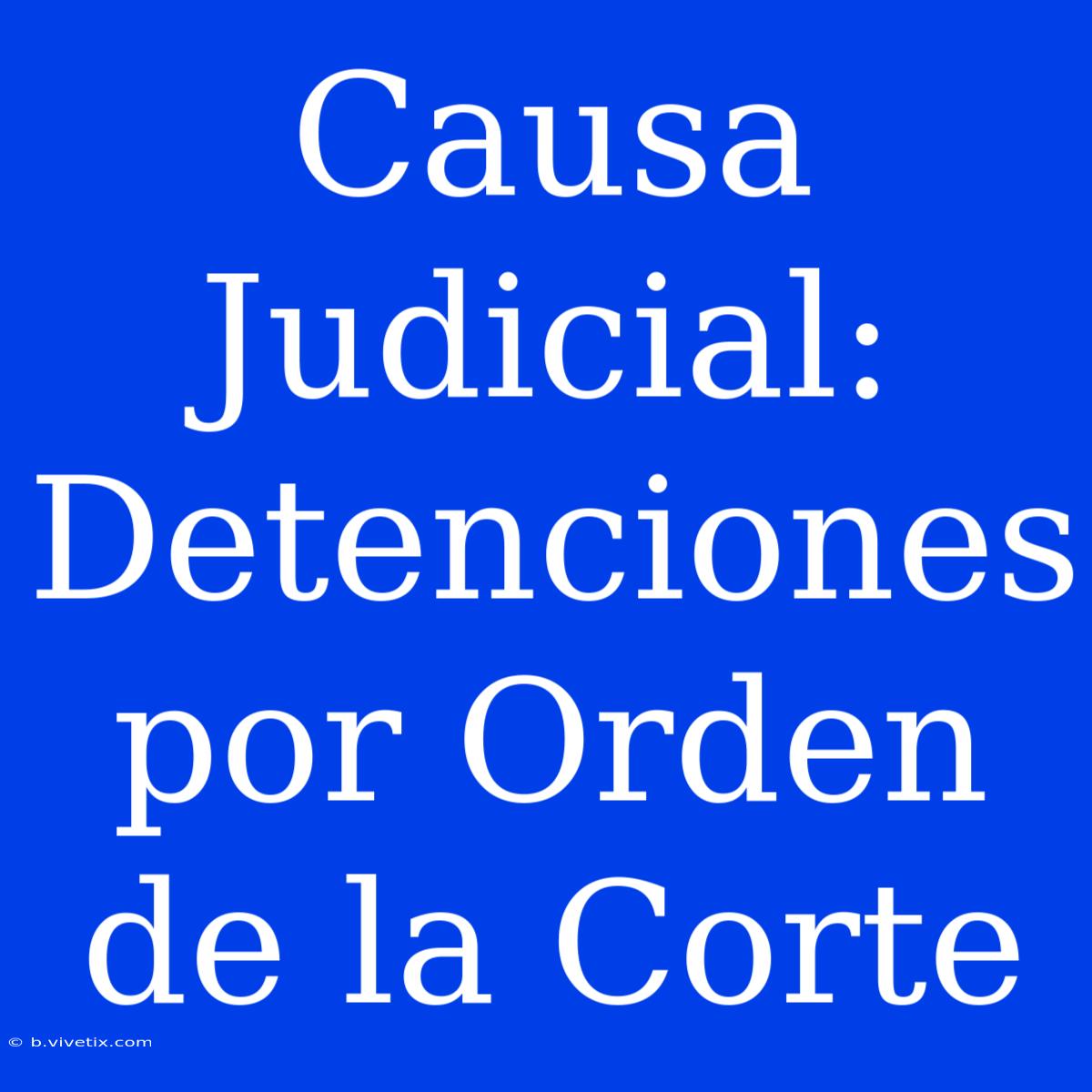 Causa Judicial: Detenciones Por Orden De La Corte