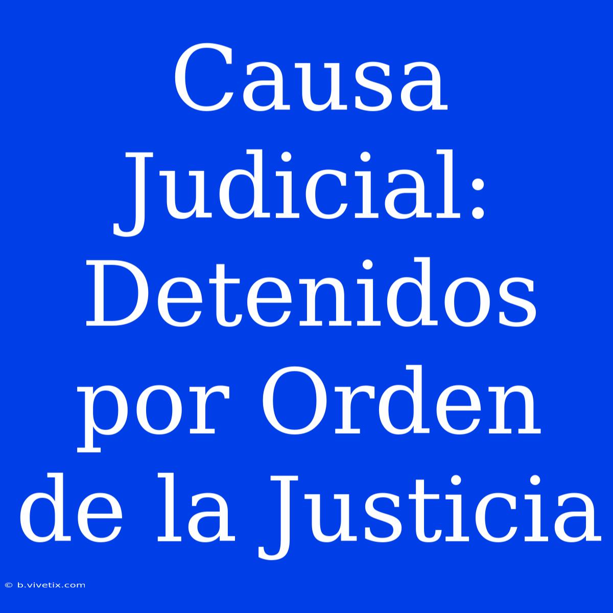 Causa Judicial: Detenidos Por Orden De La Justicia