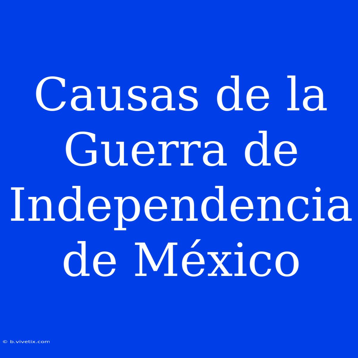 Causas De La Guerra De Independencia De México