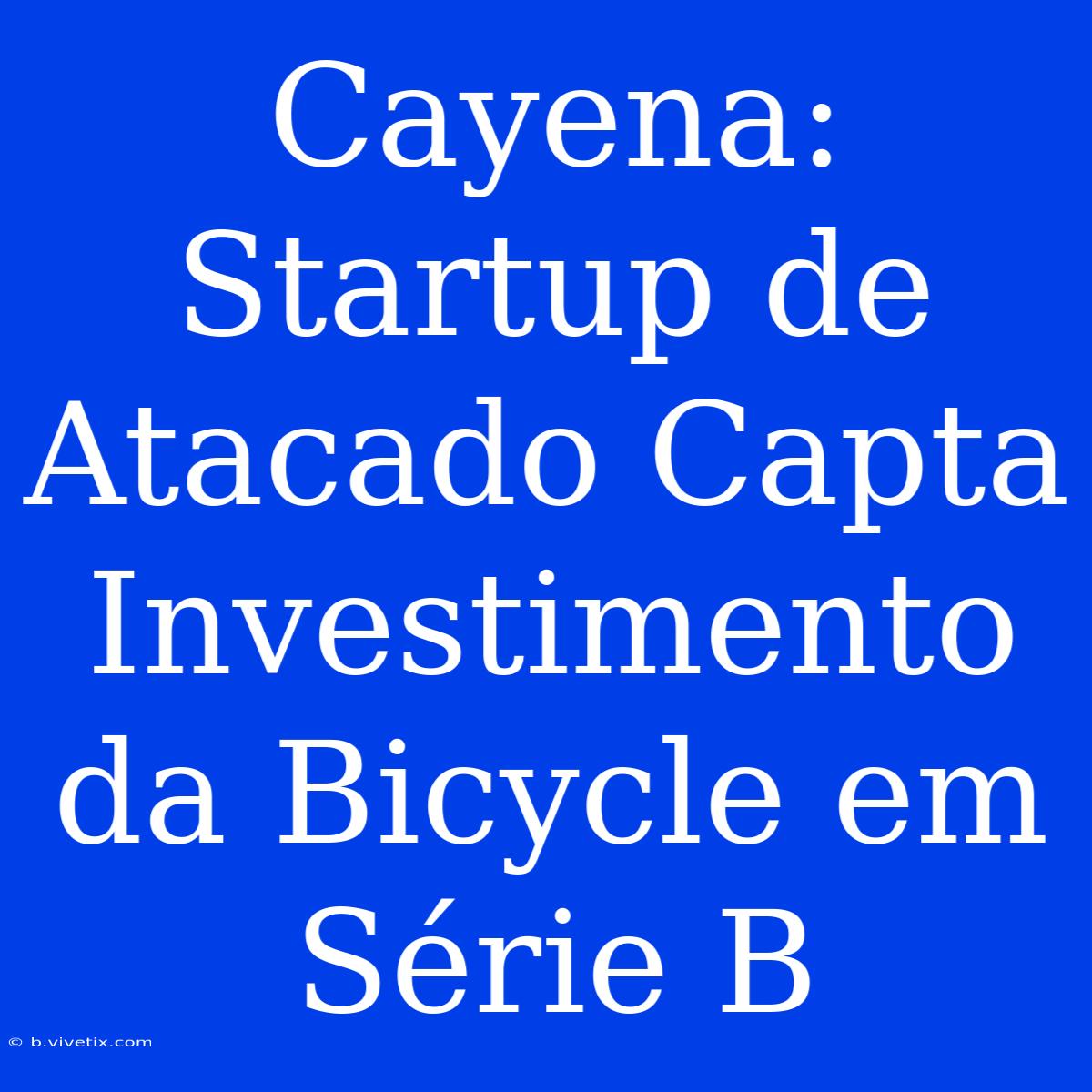 Cayena: Startup De Atacado Capta Investimento Da Bicycle Em Série B