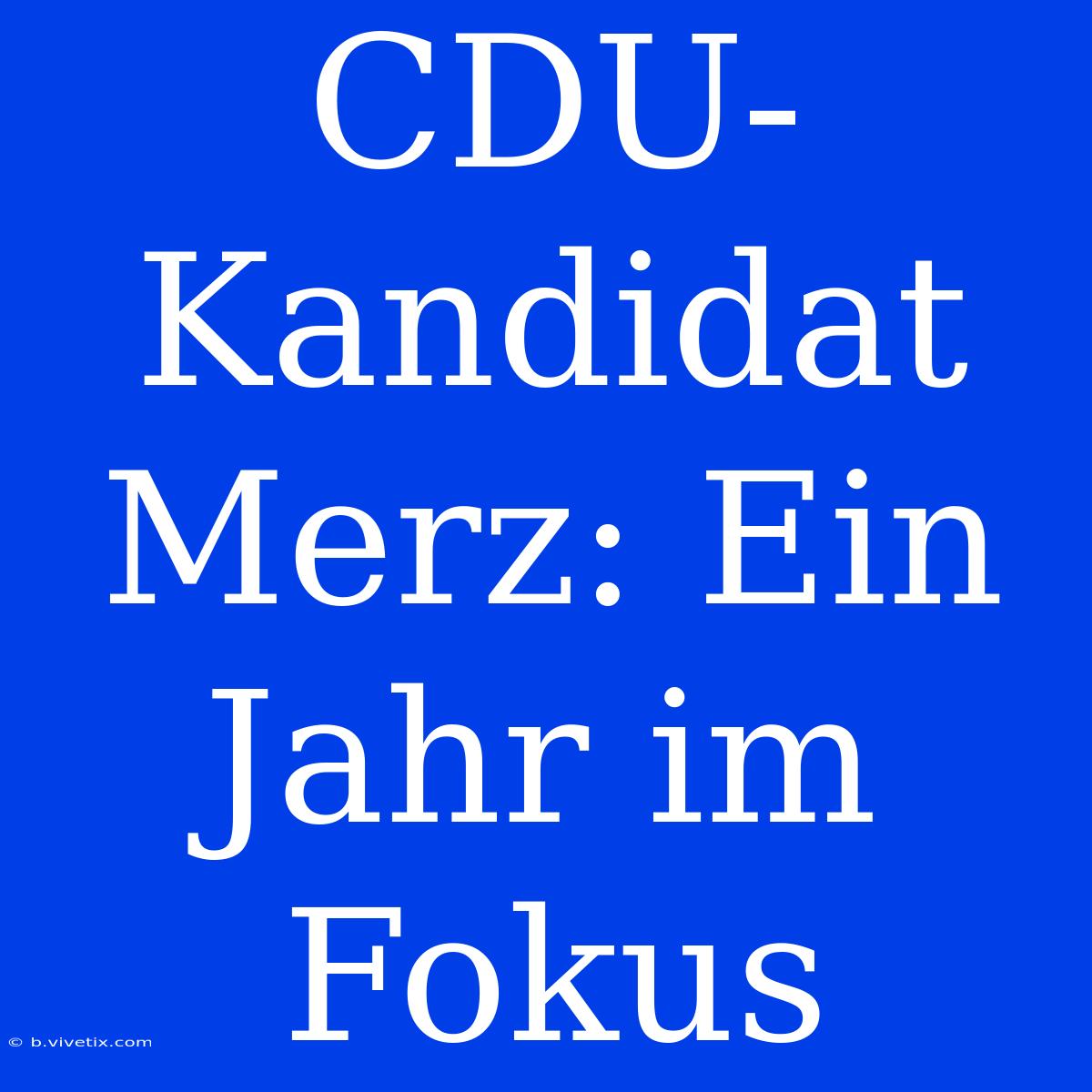 CDU-Kandidat Merz: Ein Jahr Im Fokus