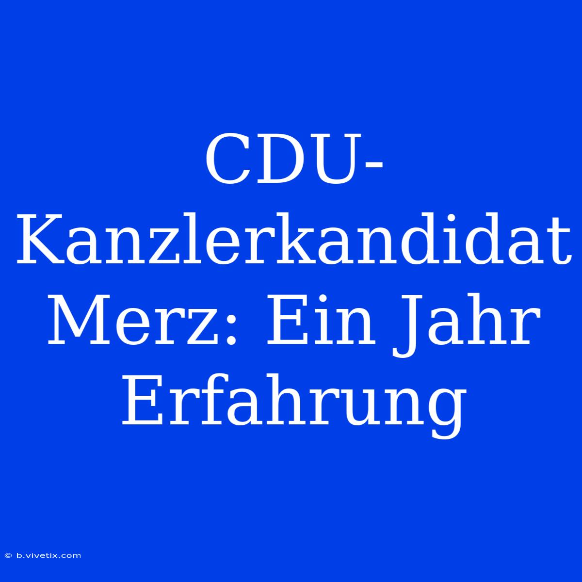 CDU-Kanzlerkandidat Merz: Ein Jahr Erfahrung