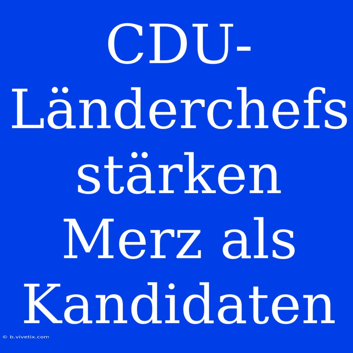 CDU-Länderchefs Stärken Merz Als Kandidaten