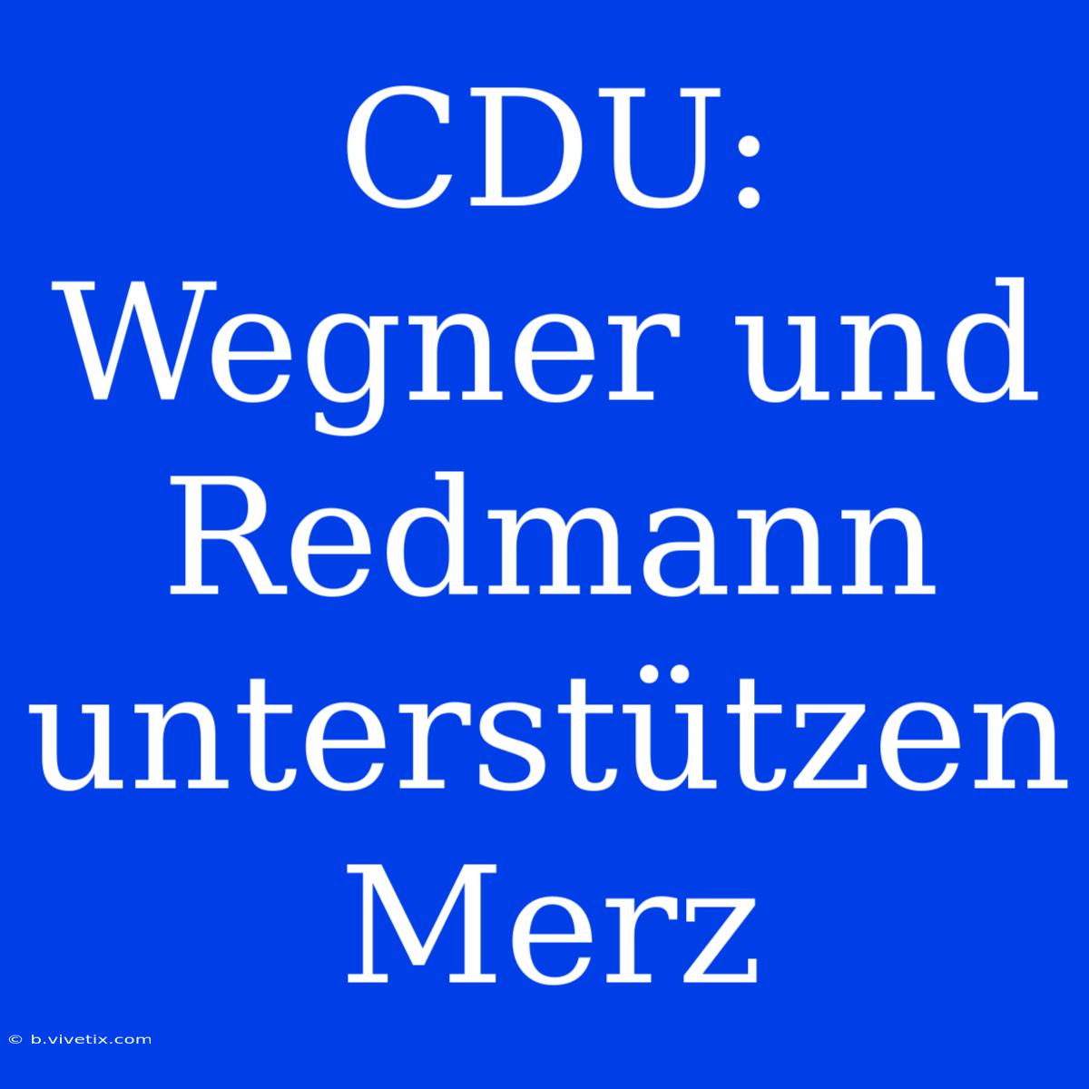 CDU: Wegner Und Redmann Unterstützen Merz