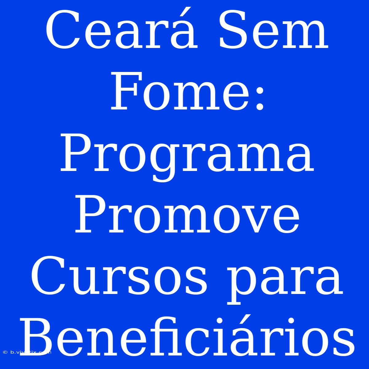 Ceará Sem Fome: Programa Promove Cursos Para Beneficiários