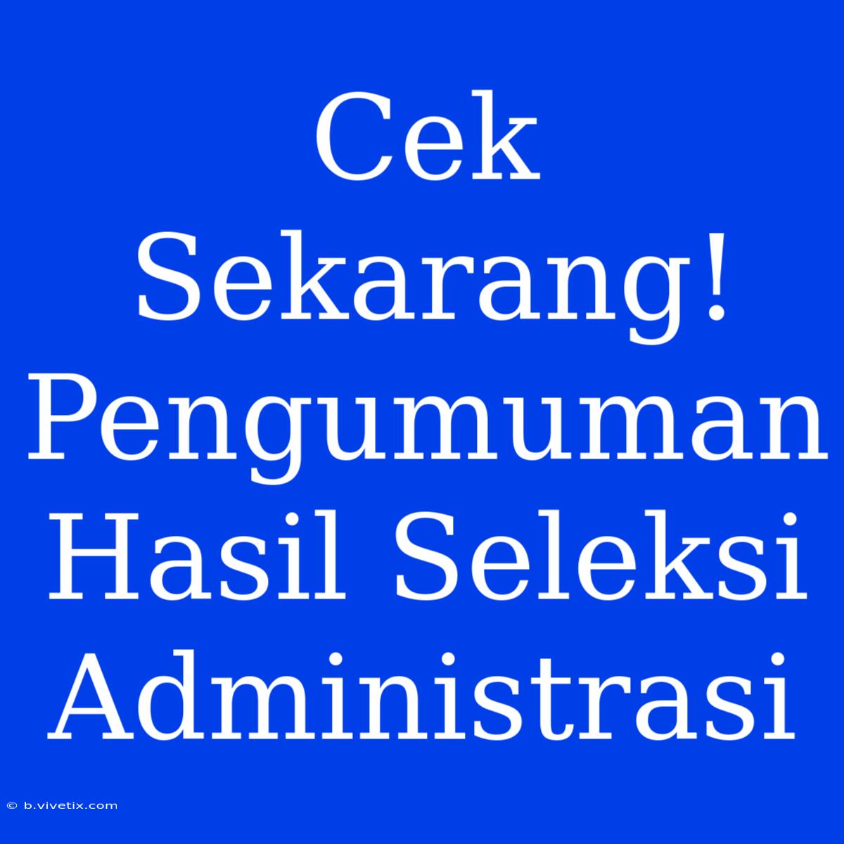 Cek Sekarang! Pengumuman Hasil Seleksi Administrasi