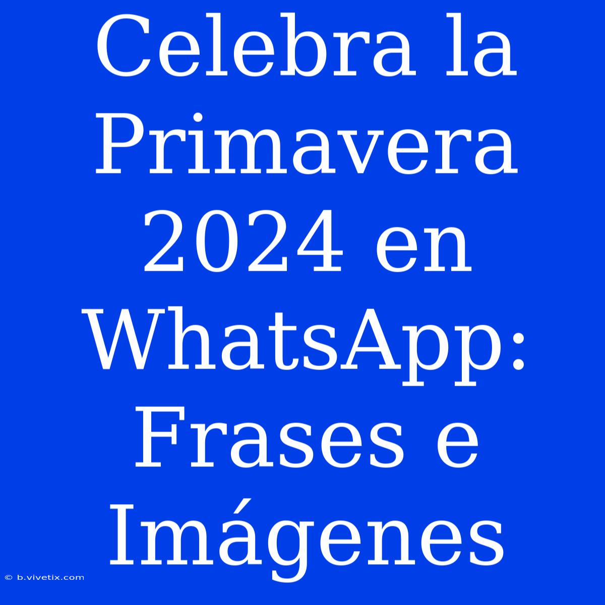 Celebra La Primavera 2024 En WhatsApp: Frases E Imágenes