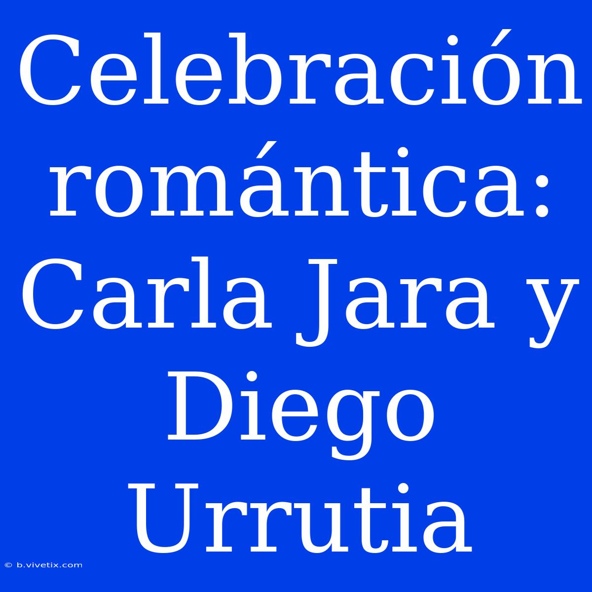 Celebración Romántica: Carla Jara Y Diego Urrutia