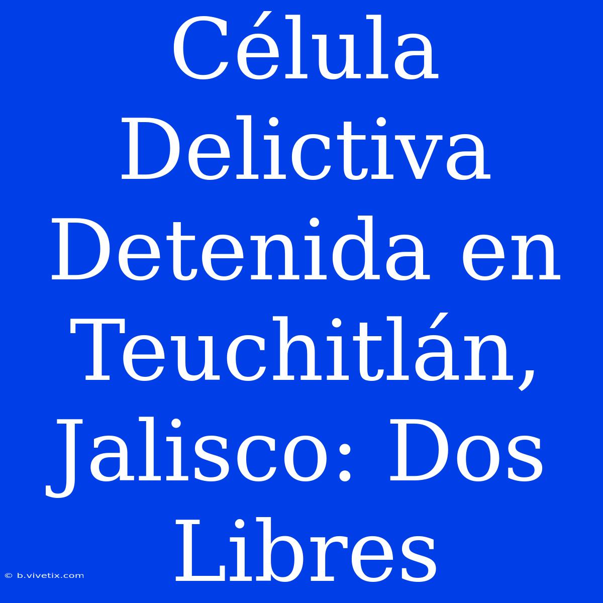 Célula Delictiva Detenida En Teuchitlán, Jalisco: Dos Libres